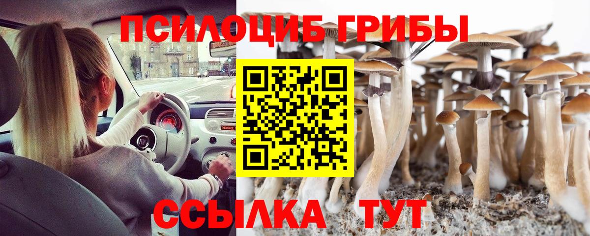 Галлюциногенные грибы Magic Shrooms  где найти   Малгобек  Псилоцибиновые грибы Psilocybine cubensis  Вход с VPN 